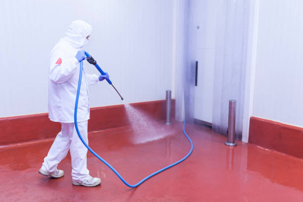 Best Paint Preparation  in Meyers, CA